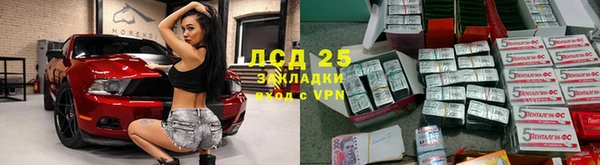 дмт Дмитровск