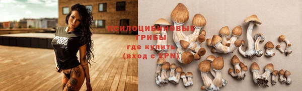 MDMA Гусев