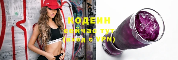 стафф Гусь-Хрустальный
