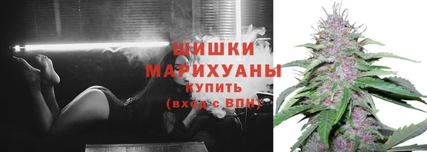 дмт Дмитровск
