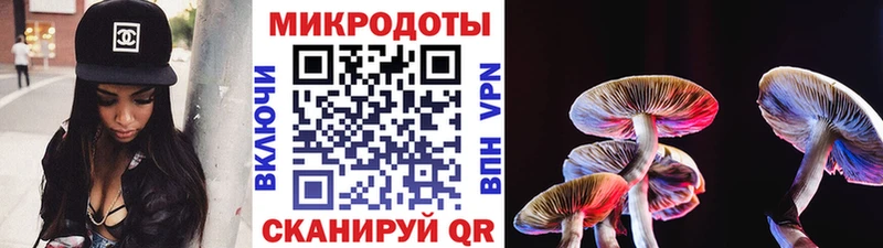 Псилоцибиновые грибы мицелий  Купить  Приморско-Ахтарск 